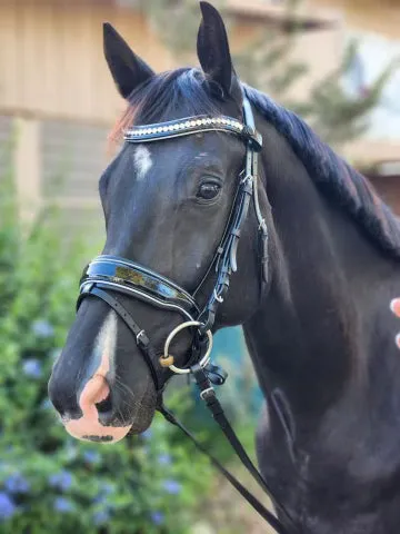 Adriana - Black Patent Blue Sparkle Snaffle Bridle