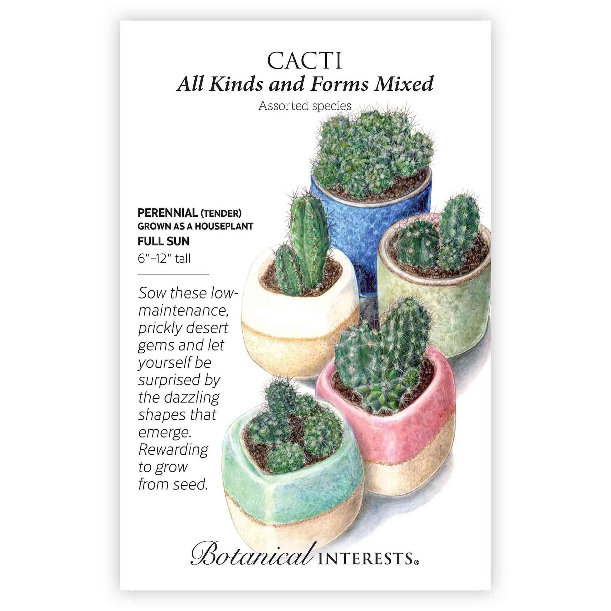 All Kinds and Forms Mixed Cacti Seeds