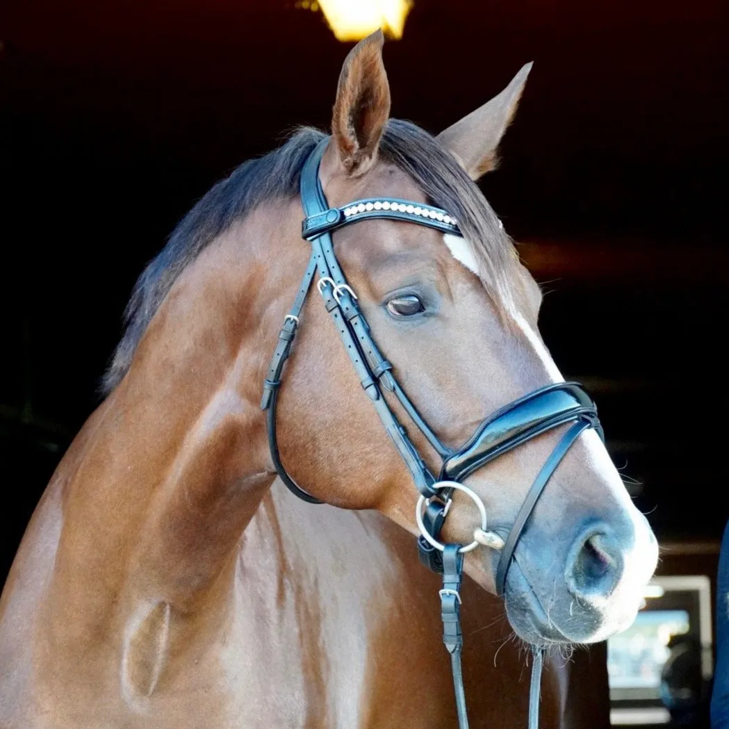 Diamond - Rolled Black Patent Anatomical Snaffle