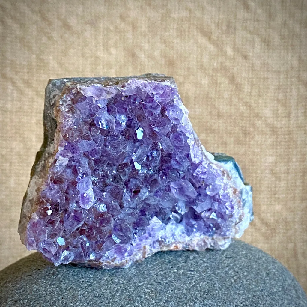 Shungite Angel on Lepidolite Slab, River Tumbled Shungite, Amethyst