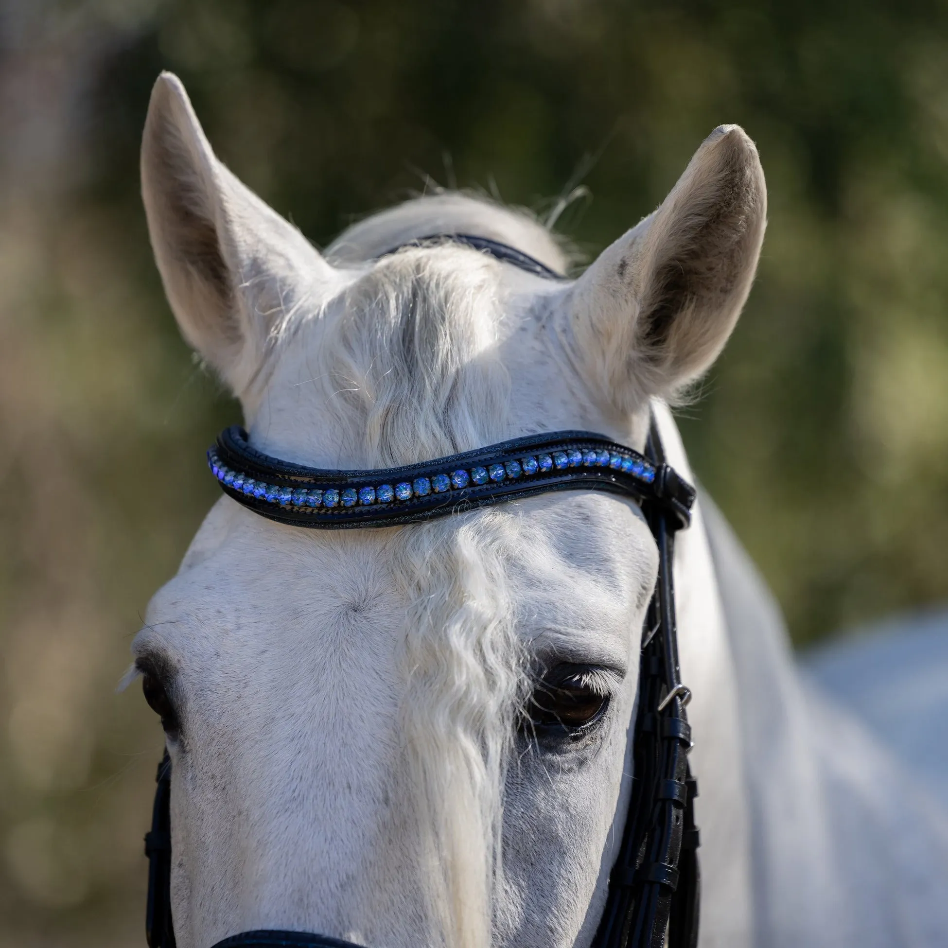 The Copenhagen - Navy Patent Leather Snaffle Bridle